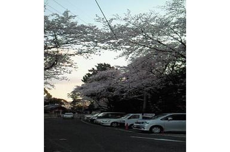 hana1