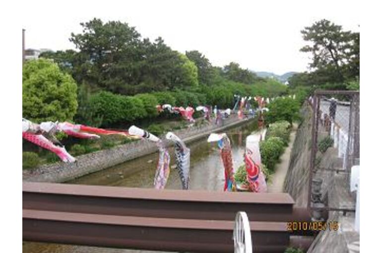 syu1