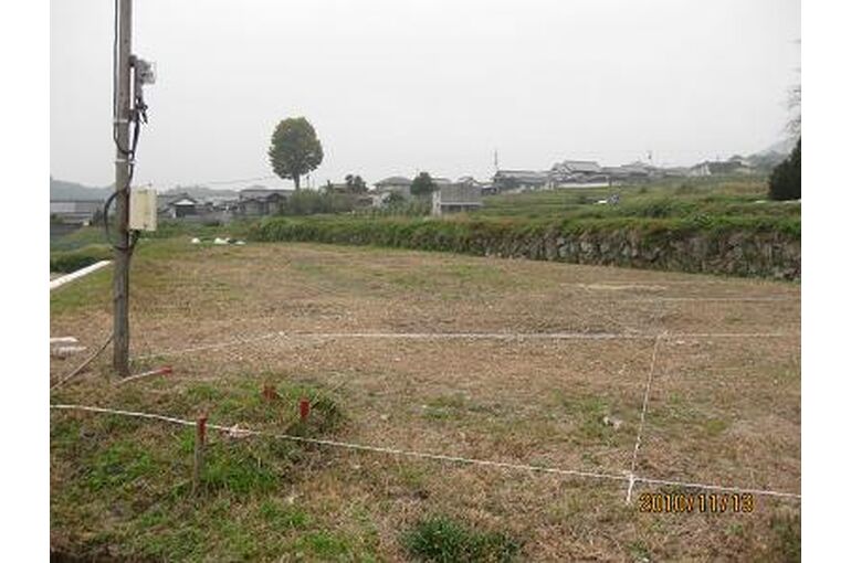 tamai