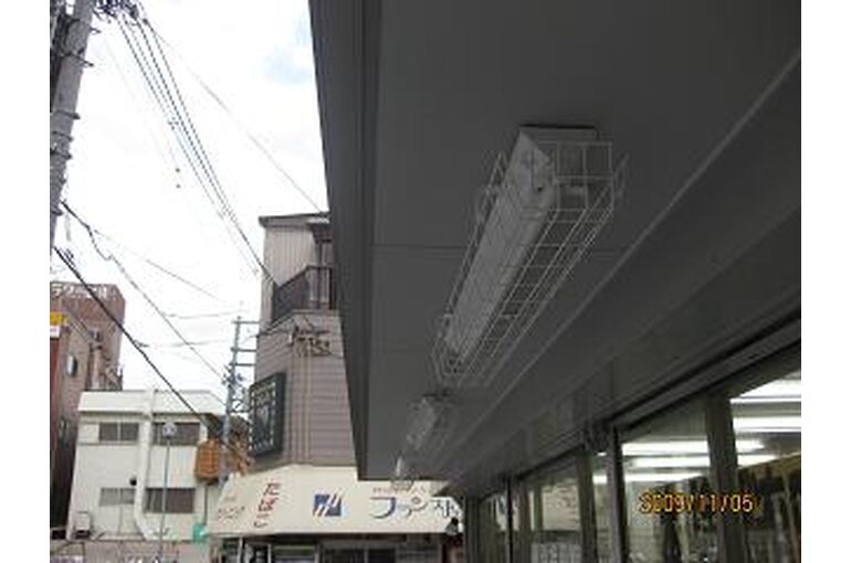 IMG_1269