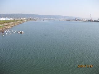 kinokaw.jpg