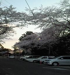 hana1.jpg