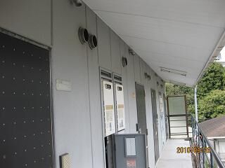 riba5.jpg
