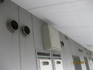 riba2.jpg