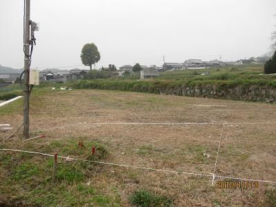 tamai.jpg