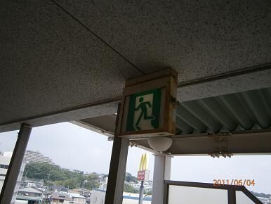ootanibiru3.jpg