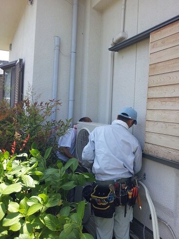 2013-05-17 11.59.15.jpg