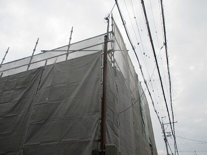 IMG_2692.JPG