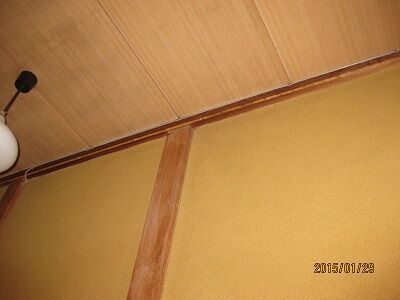 IMG_6728.JPG