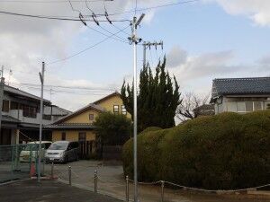CIMG0567