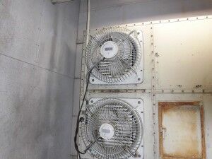 CIMG0574