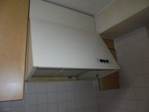 DSC00738