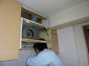 DSC00739