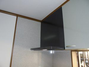 DSC01656